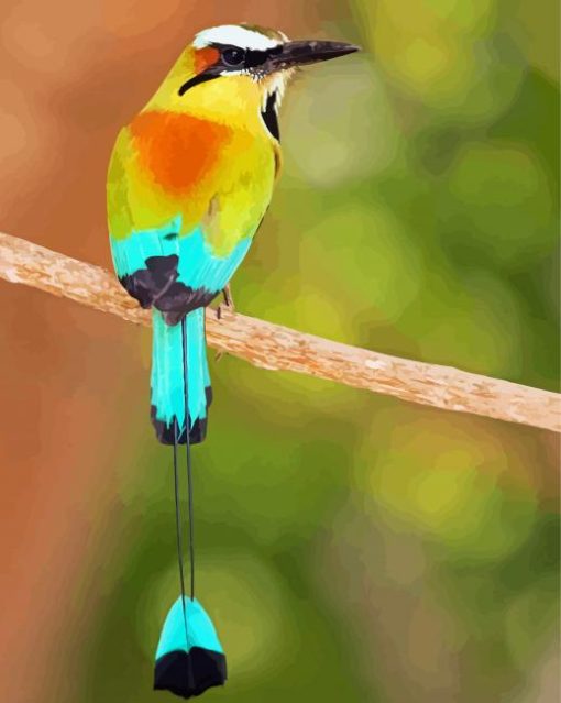 Aesthetic Motmot Bird Diamond Painting