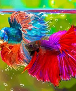 Aesthetic Siamese Fighting Fish Diamond Painting