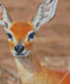 Aesthetic Steenbok Diamond Painting