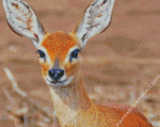 Aesthetic Steenbok Diamond Painting