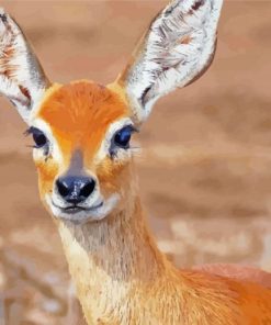 Aesthetic Steenbok Diamond Painting