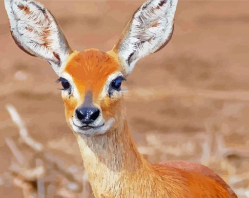 Aesthetic Steenbok Diamond Painting