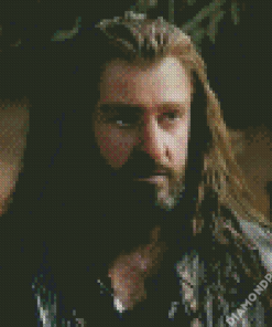 Aesthetic Thorin Oakenshield Diamond Painting