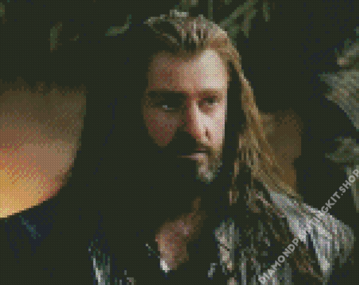 Aesthetic Thorin Oakenshield Diamond Painting