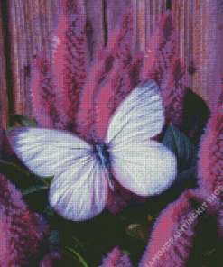 Aesthetic White Butterfly Diamond Painting