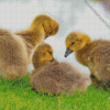 Aesthetic Canada Geese Goslings Diamond Painting