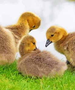 Aesthetic Canada Geese Goslings Diamond Painting