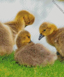 Aesthetic Canada Geese Goslings Diamond Painting