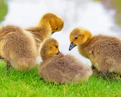 Aesthetic Canada Geese Goslings Diamond Painting