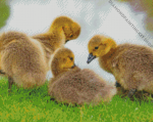 Aesthetic Canada Geese Goslings Diamond Painting