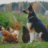 Aesthetic Dog With Chickens Diamond Painting