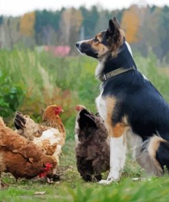 Aesthetic Dog With Chickens Diamond Painting