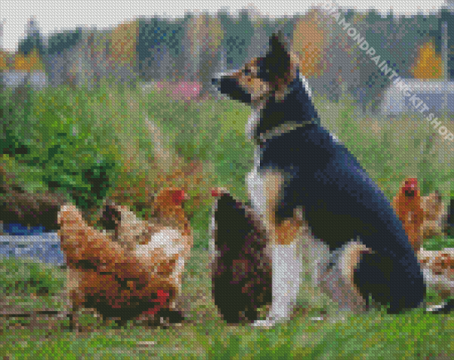 Aesthetic Dog With Chickens Diamond Painting