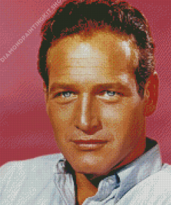 Aesthetic Paul Newman Diamond Painting