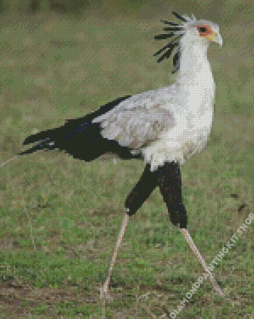 Aesthetic The Secretarybird Diamond Painting