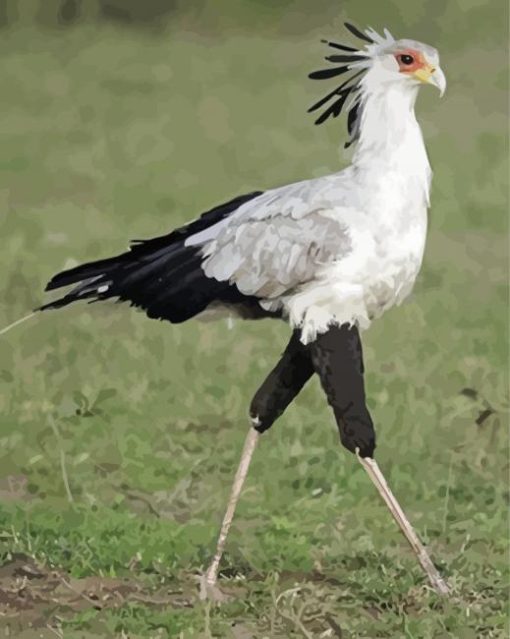 Aesthetic The Secretarybird Diamond Painting