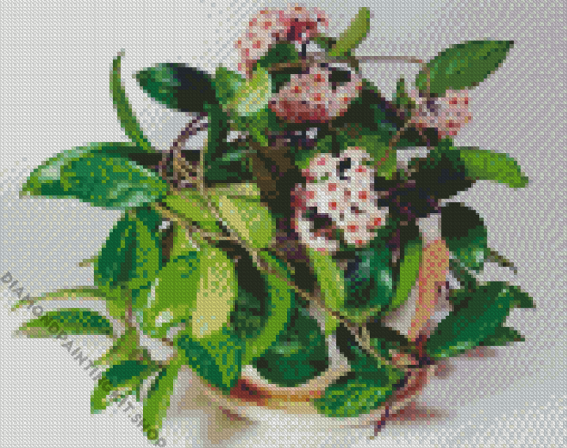 Aesthetic Wax Plant Diamond Painting