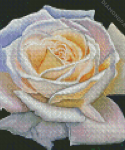 Aesthetic White Rose Art Diamond Painting