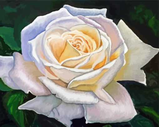 Aesthetic White Rose Art Diamond Painting