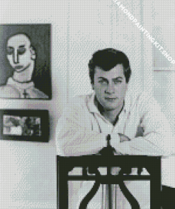 Black And White Tony Curtis Diamond Painting