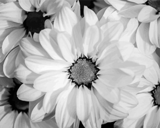 Black And White Flowers Diamond Painting