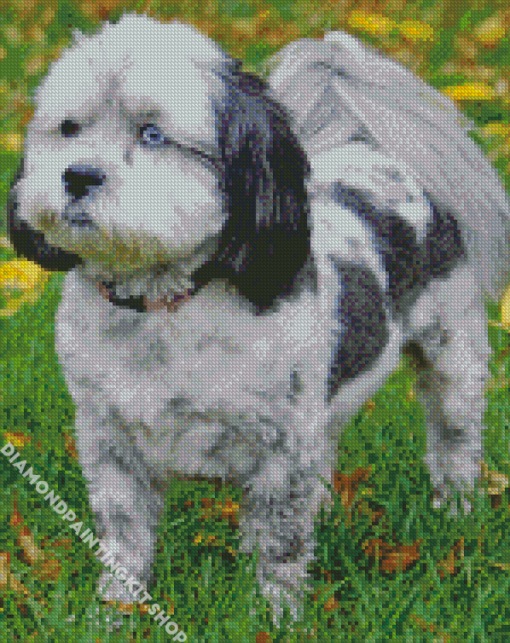 Black And White Shih Poo Diamond Painting