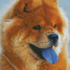 Chow Chow Diamond Painting