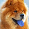 Chow Chow Diamond Painting