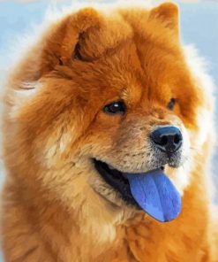 Chow Chow Diamond Painting