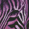 Close Up Purple Zebra Diamond Painting