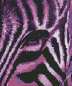 Close Up Purple Zebra Diamond Painting