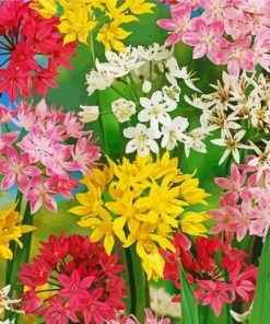 Colorful Allium Flowers Diamond Painting