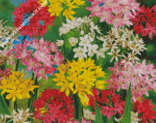 Colorful Allium Flowers Diamond Painting