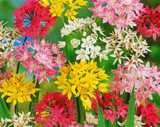 Colorful Allium Flowers Diamond Painting