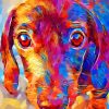 Colorful Dachshund Face Diamond Painting