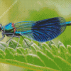 Cool Damsel Fly Diamond Painting