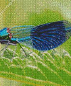 Cool Damsel Fly Diamond Painting