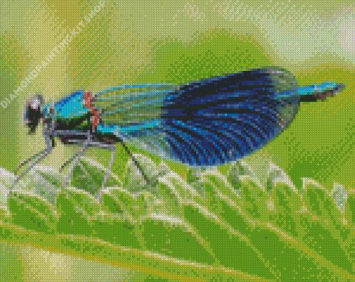 Cool Damsel Fly Diamond Painting