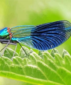 Cool Damsel Fly Diamond Painting