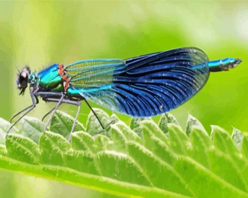 Cool Damsel Fly Diamond Painting