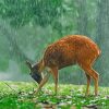 Cute Deer In Rain Diamond Painting