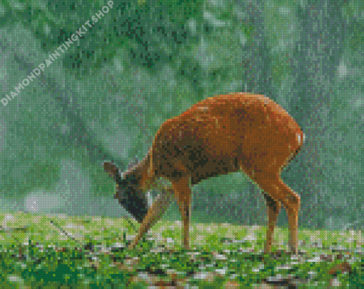 Cute Deer In Rain Diamond Painting