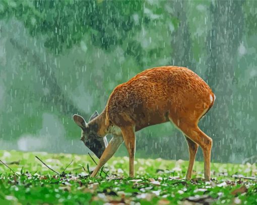 Cute Deer In Rain Diamond Painting