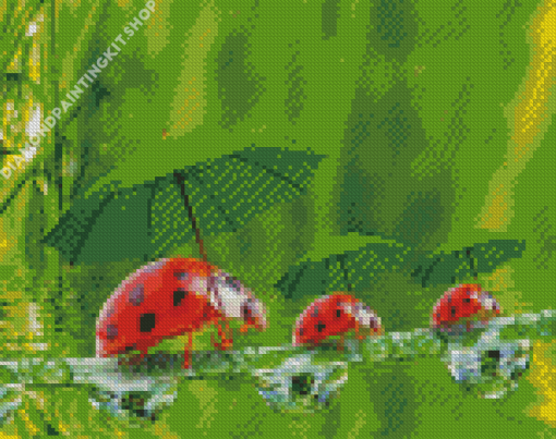 Cute Ladybirds Diamond Painting