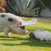 Cute Pig And Rabbit Diamond Painting