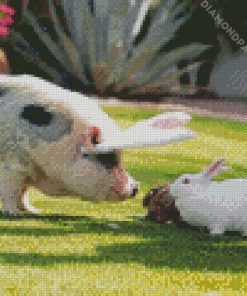 Cute Pig And Rabbit Diamond Painting