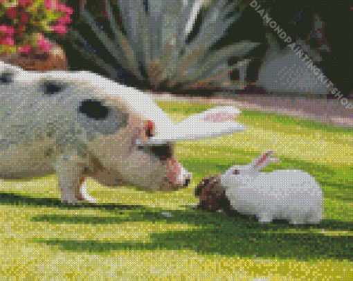 Cute Pig And Rabbit Diamond Painting