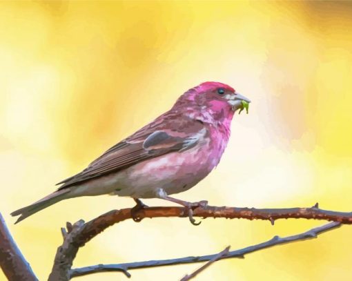 Cute Purple Finch Diamond Painting