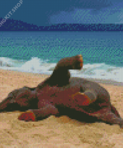 Funny Elephant On Beach Diamond Painting