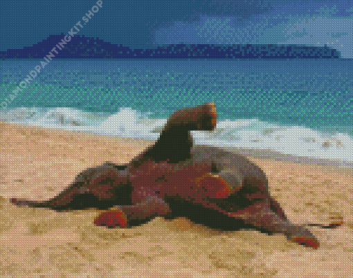 Funny Elephant On Beach Diamond Painting